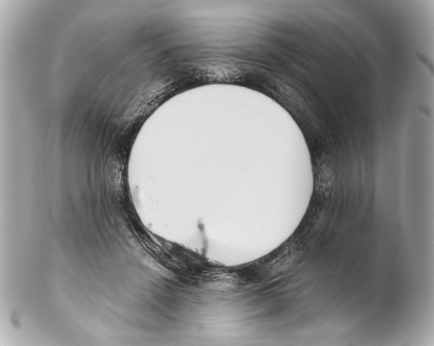 X0000102030456200808151346