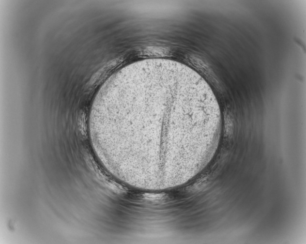 X0000102030457200808151346