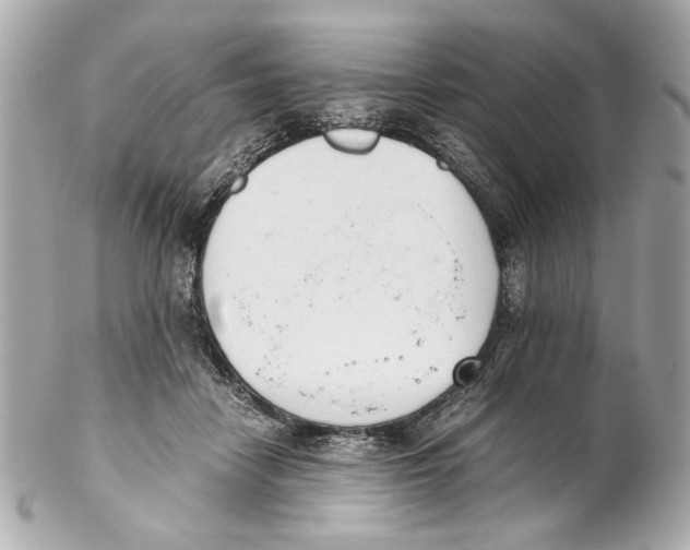 X0000102030458200808151346