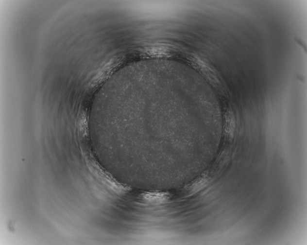 X0000102030465200808151346