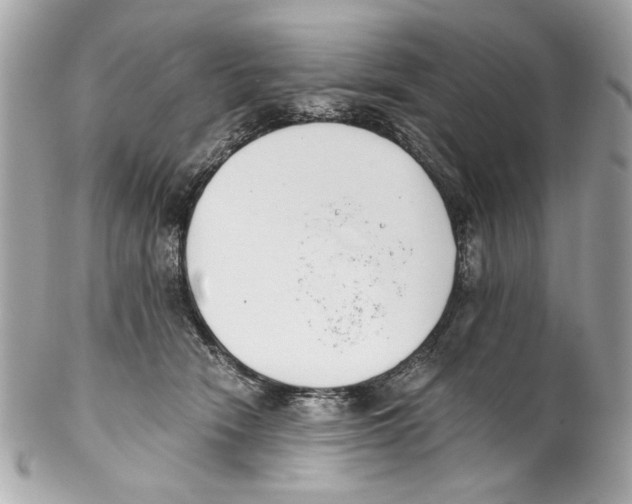 X0000102030466200808151346