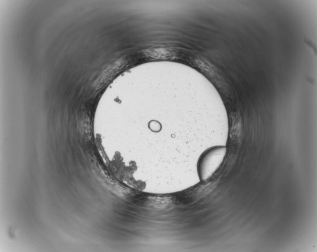 X0000102030469200808151346