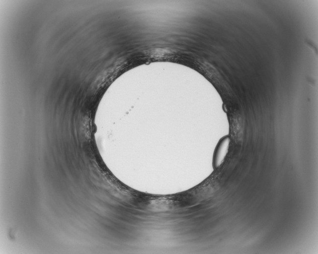 X0000102030470200808151346