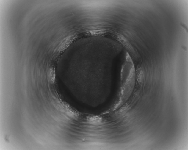 X0000102030471200808151346