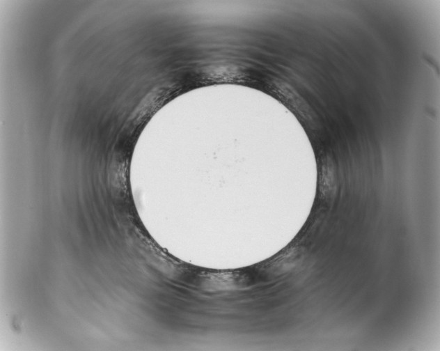 X0000102030473200808151346