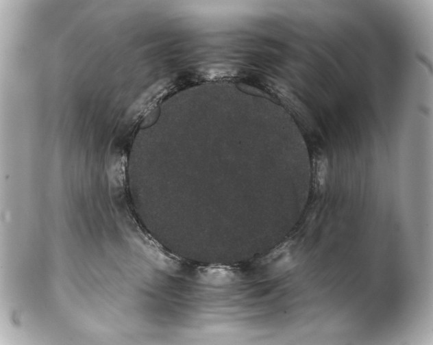 X0000102030475200808151346