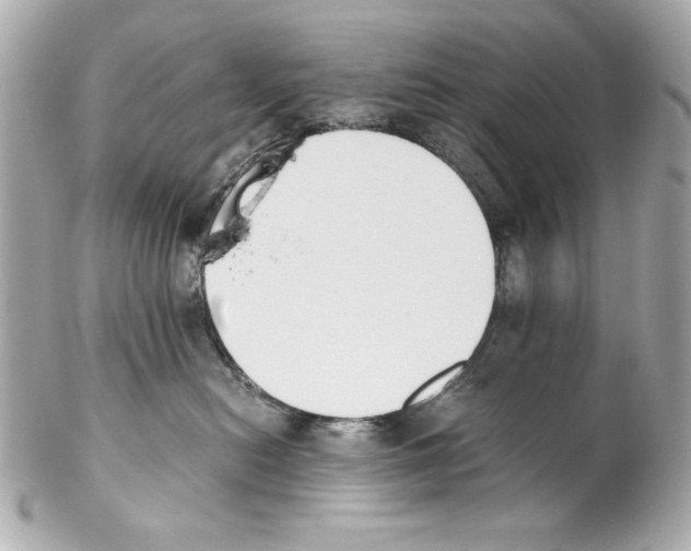 X0000102030478200808151346