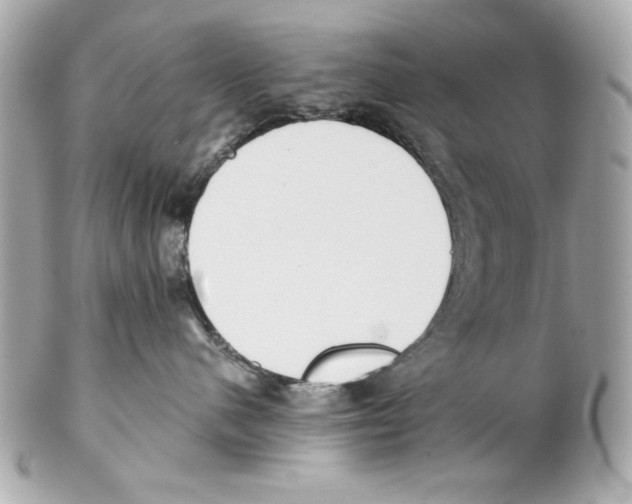 X0000102030480200808151346