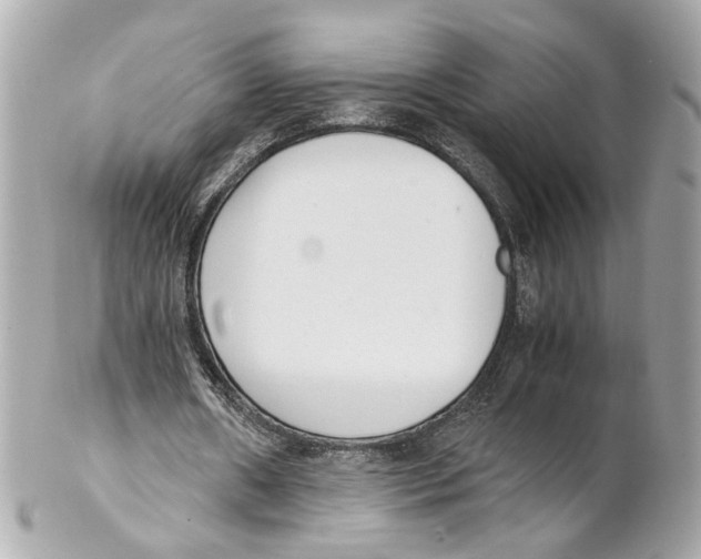 X0000102030482200808151345