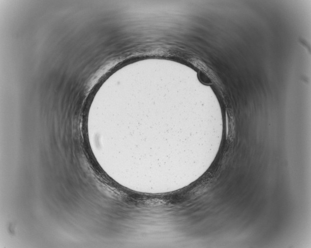 X0000102030483200808151345