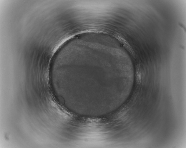 X0000102030484200808151345