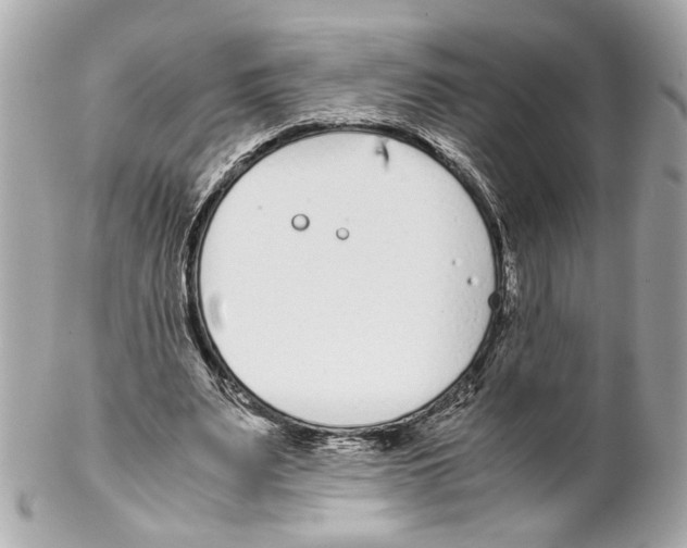 X0000102030487200808151345