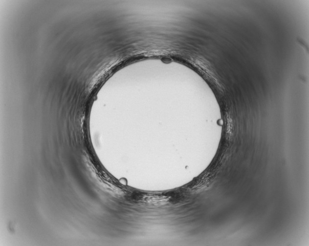 X0000102030491200808151345