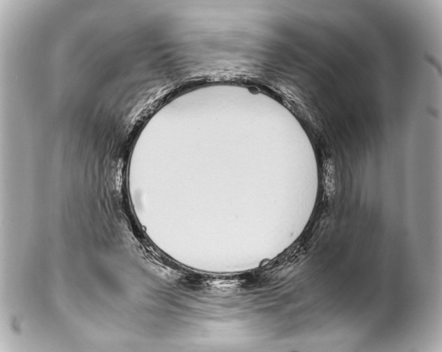 X0000102030495200808151345