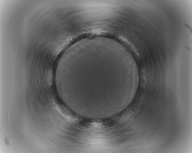 X0000102030496200808151345