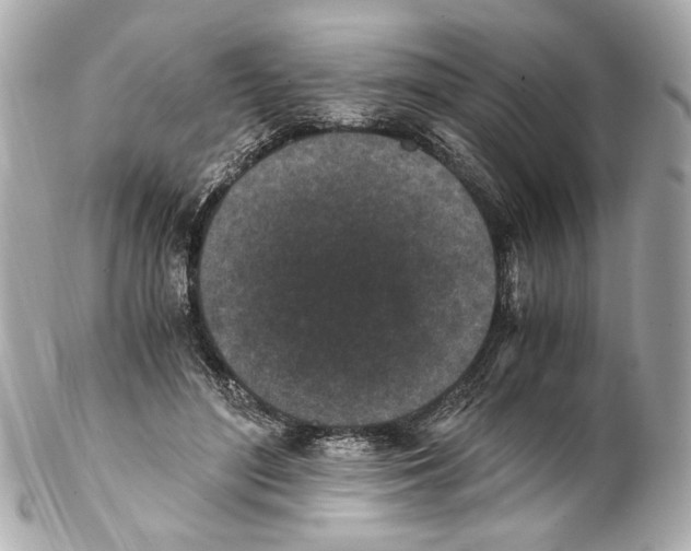 X0000102030500200808151345