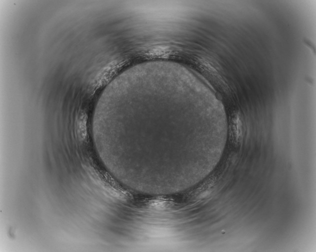 X0000102030504200808151345