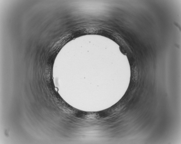 X0000102030505200808151345