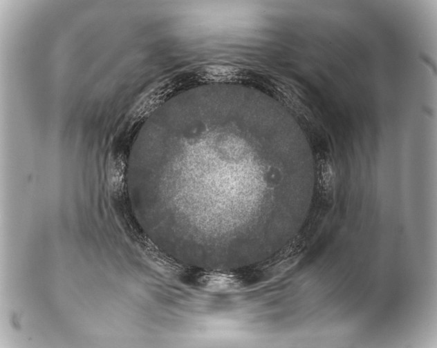 X0000102030507200808151345