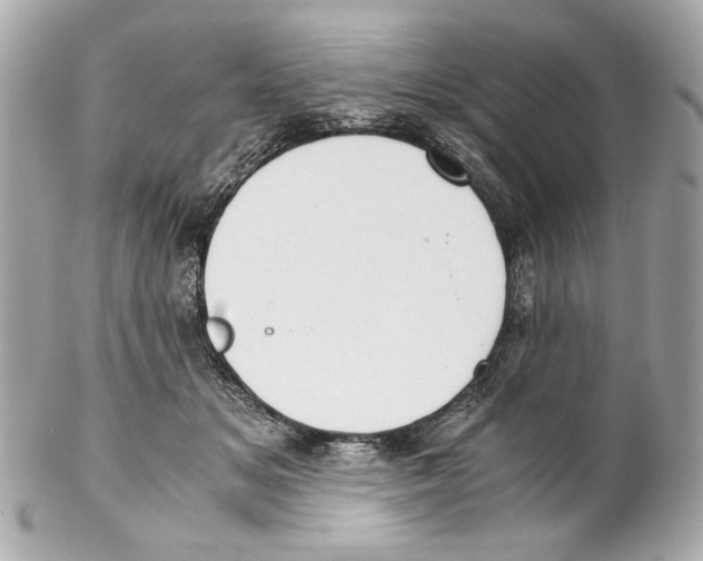 X0000102030509200808151345