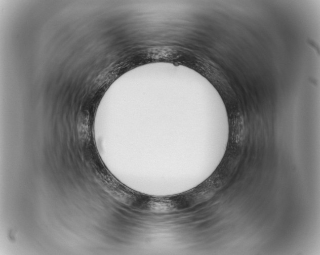 X0000102030510200808151345