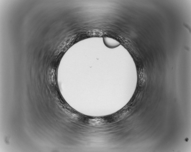 X0000102030511200808151345