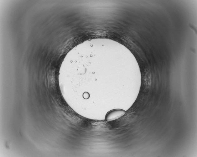 X0000102030516200808151345