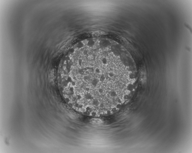 X0000102030519200808151345