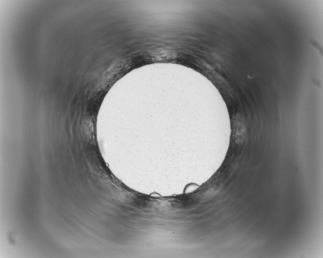 X0000102030523200808151345