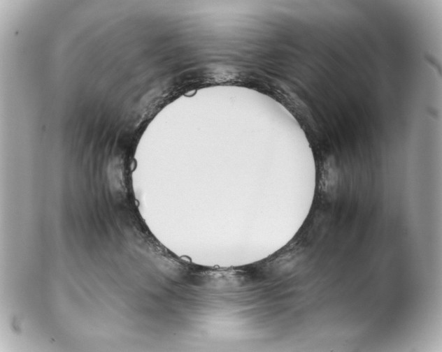 X0000102030524200808151345