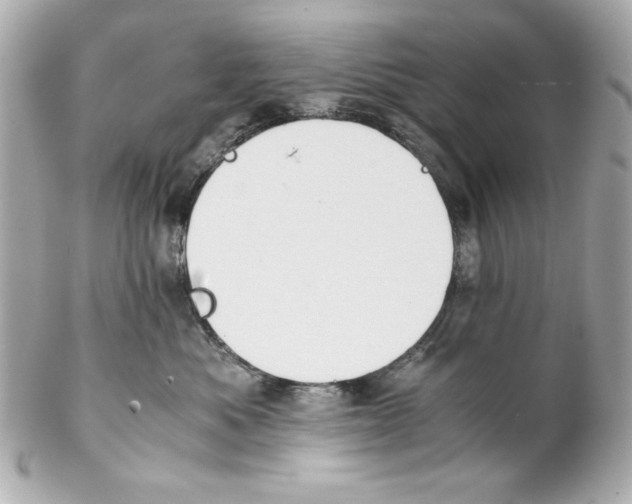 X0000102030525200808151345