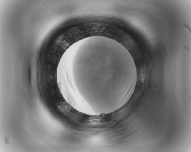 X0000102030526200808151345