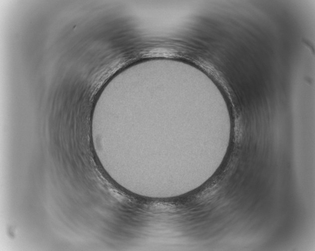 X0000102030529200808151344