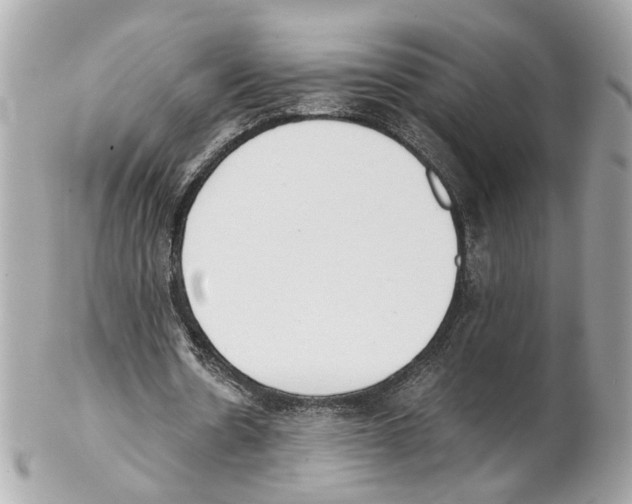 X0000102030530200808151344