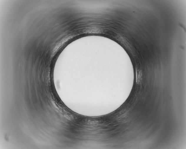 X0000102030531200808151344