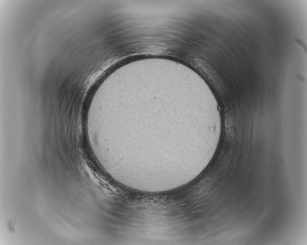 X0000102030532200808151344