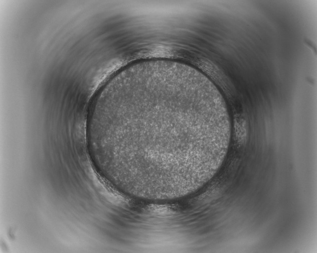 X0000102030534200808151344