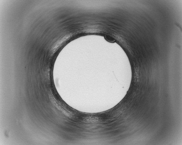 X0000102030535200808151344