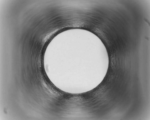 X0000102030536200808151344