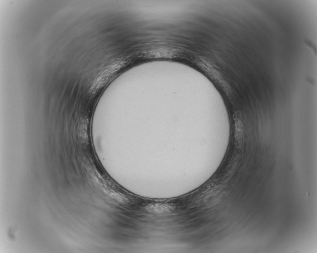 X0000102030537200808151344