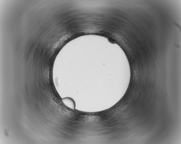 X0000102030539200808151344