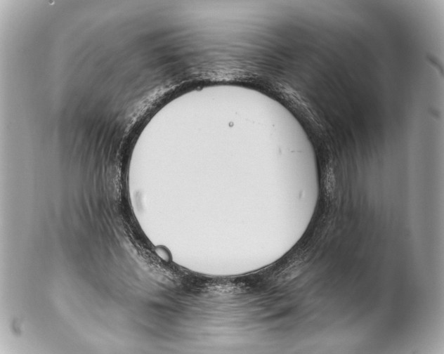 X0000102030540200808151344