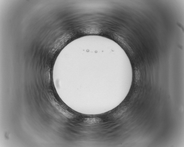 X0000102030541200808151344