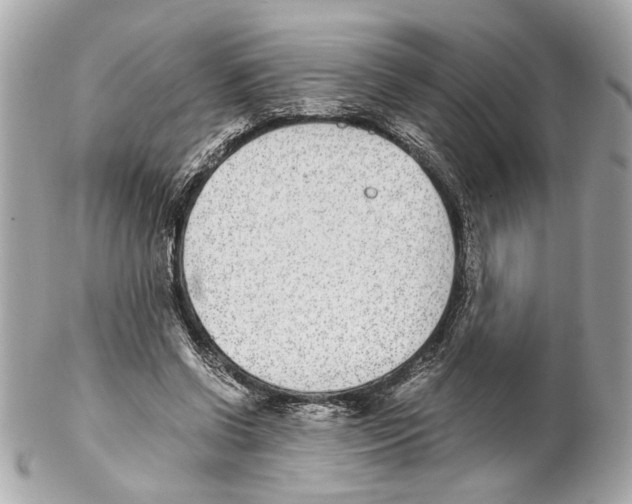 X0000102030542200808151344