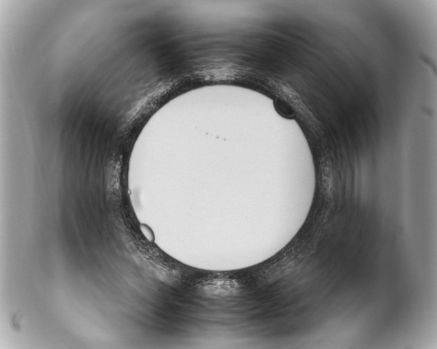 X0000102030543200808151344