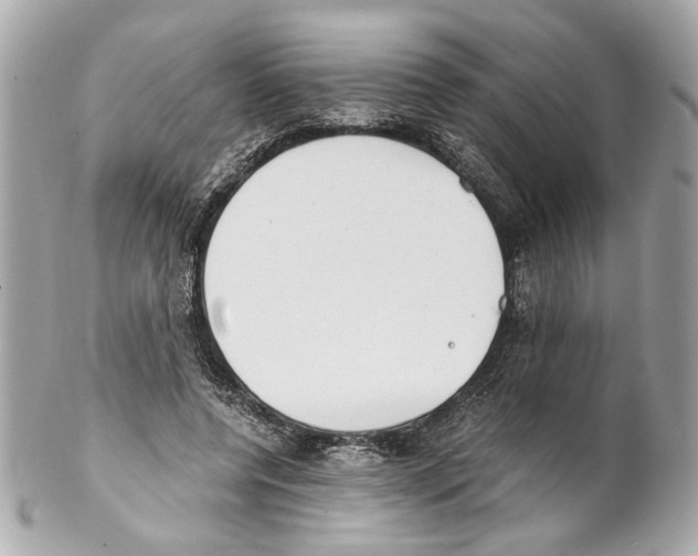 X0000102030544200808151344