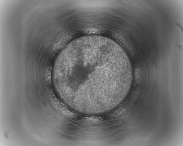 X0000102030545200808151344