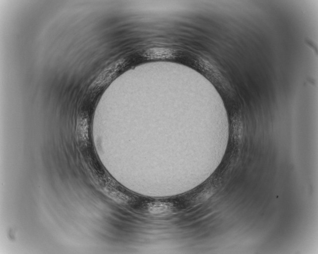 X0000102030549200808151344