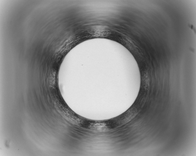 X0000102030554200808151344