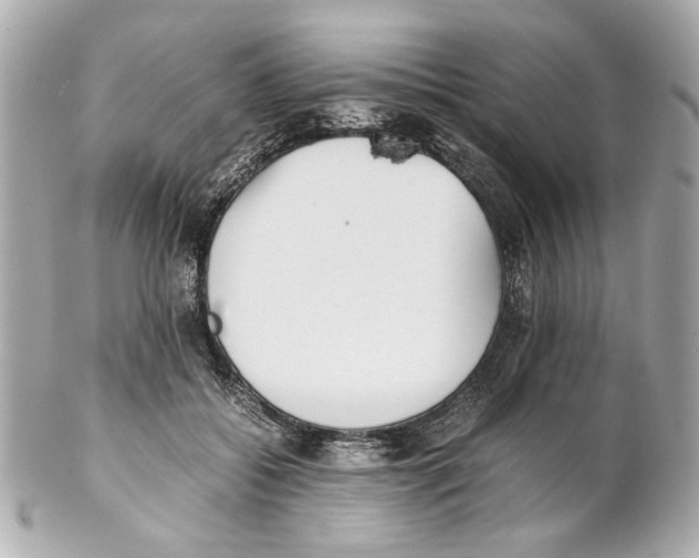 X0000102030556200808151344